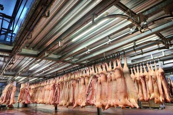BVBVK warehousing, ingevroren rauw vlees opknoping in de vriezer, gekoeld. — Stockfoto
