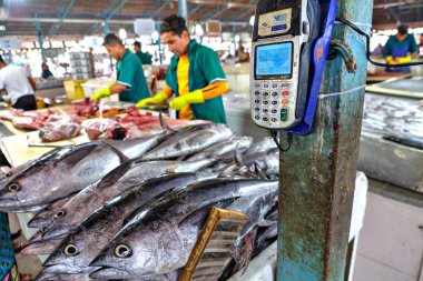 Balık pazarı kredi kartı ile ödeme için mobil terminal.