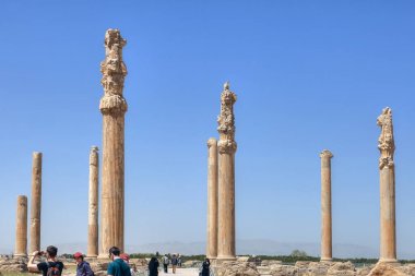 Apadana Sarayı Shiraz İran'ın yakınındaki antik Pers Persepolis şehirde sütunlar.