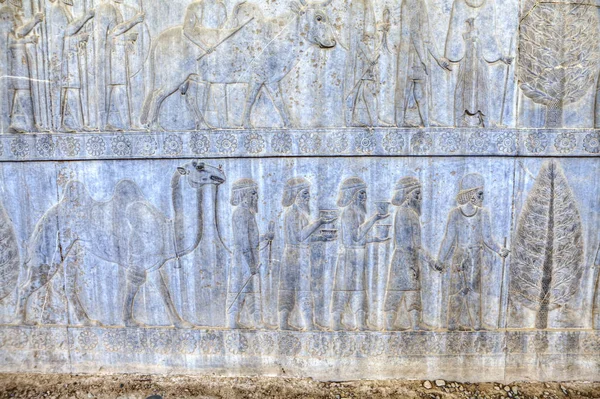 Освобождение сирийцев или лидийцев, Ападана, Персеполис, Иран . — стоковое фото