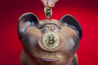 İnsan parmak bitcoin sikke kumbara yuvasına düşürür.