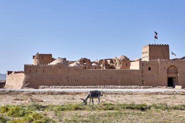 Bir çiftçi eşek antik kale Saryazd, Iran otlatma.