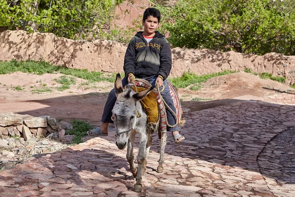 Iranischer Junge auf Esel in traditionellem Dorf, abyaneh, iran. — Stockfoto