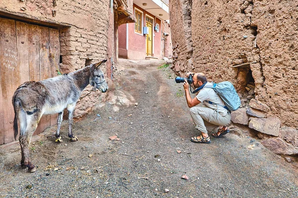 The tourist photographs an ass in Abyaneh village, Iran. — Stockfoto