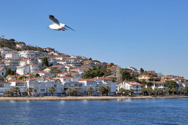 İstanbul, Türkiye - 13 Şubat 2020: Marmara Denizi 'nden güneşli bir kış günü Kinaliada plajı manzarası.