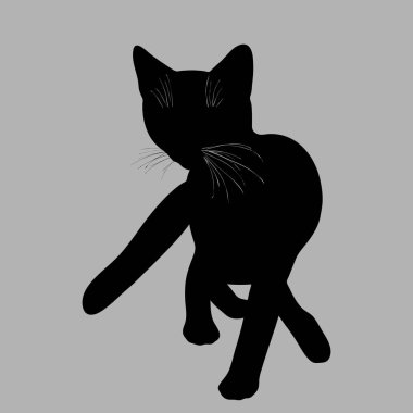 Kedi silueti. Vektör çizimi. Gri arka planda kara kedi