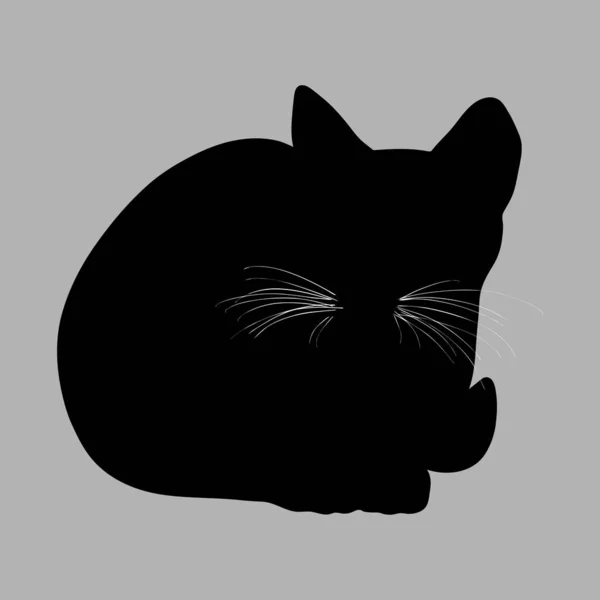 Macska sziluett. Vektor illusztráció. Fekete macska szürke háttér — Stock Vector