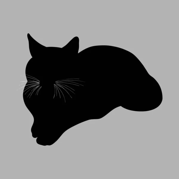 Silueta de gato. Ilustración vectorial. Gato negro sobre fondo gris — Vector de stock