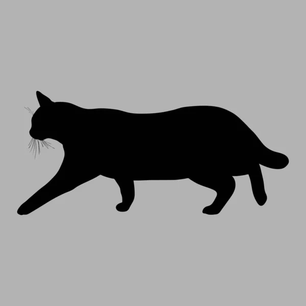 Sílhueta de gato. Ilustração vetorial. Gato preto no fundo cinza — Vetor de Stock