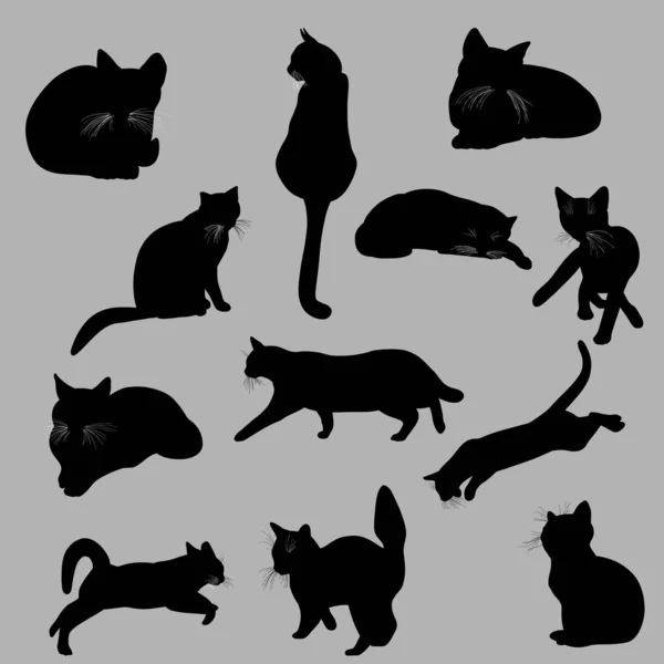 Collezione gatti silhouette. Illustrazione vettoriale. Nero su grigio — Vettoriale Stock