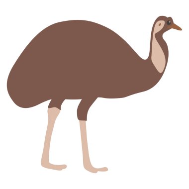 Düz stilde şirin bir emu. Düz. Vektör