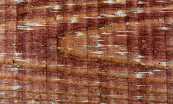 Текстура Коричневого Дерева Абстрактний Фон Порожній Шаблон — стокове фото