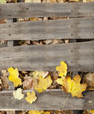 Eski tahtalar ve yapraklar