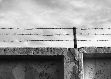 Dikenli kıvrımlı 1