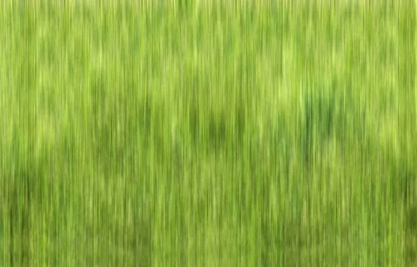Fundal Verde Abstract Grăsime — Fotografie, imagine de stoc