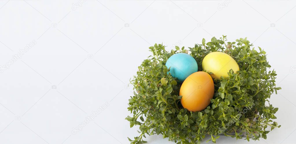 Easter composition with colored eggs, a yellow ribbon, branches with young leaves