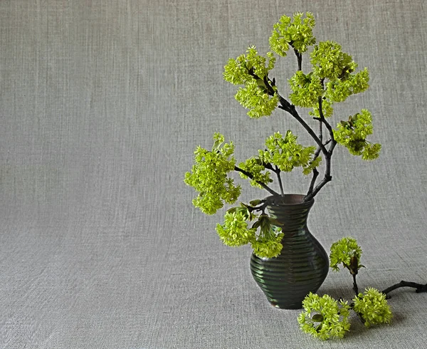 Arranjo Com Flores Bordo Vaso Cerâmica — Fotografia de Stock