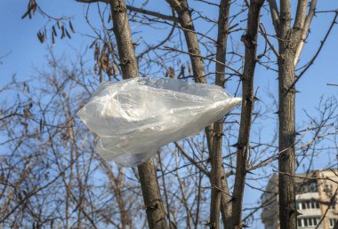 Ağaç dalına takılmış plastik torba.