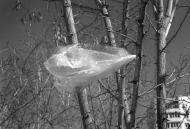 Ağaç dalına takılmış plastik torba.