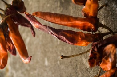 Gri arka planda kurutulmuş kırmızı kırmızı kırmızı biber demeti....