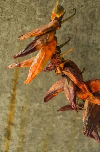 Ramo Chiles Rojos Secos Sobre Fondo Pared Gris —  Fotos de Stock