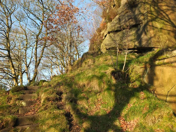 A narrow hillside path in a bright sunlit winter forest surrounded by moss covered rocks and twisted trees — Stockfoto