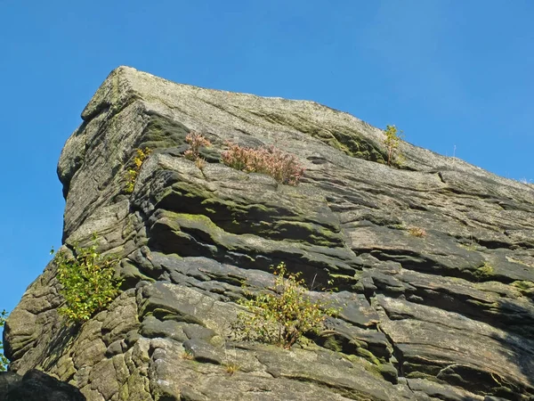 A rough grey sandstone moorland outcrop with heather and plants growing n the cracks against a blue sunlit sky — Stok fotoğraf