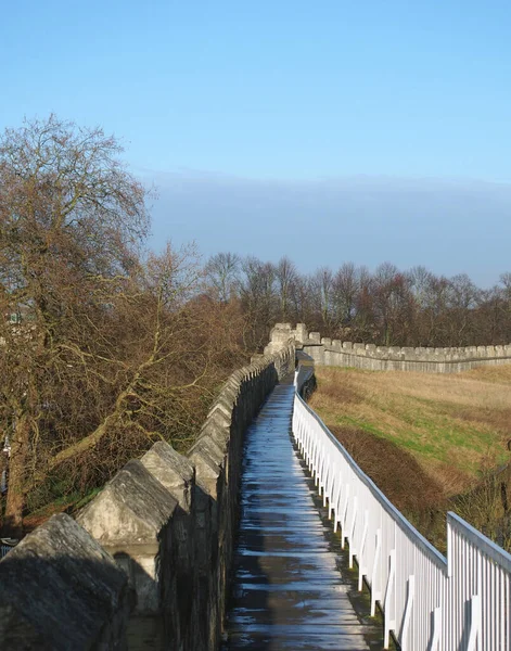 View Pedestrian Walkway Historic Medieval City Walls York Surrounded Trees — 图库照片