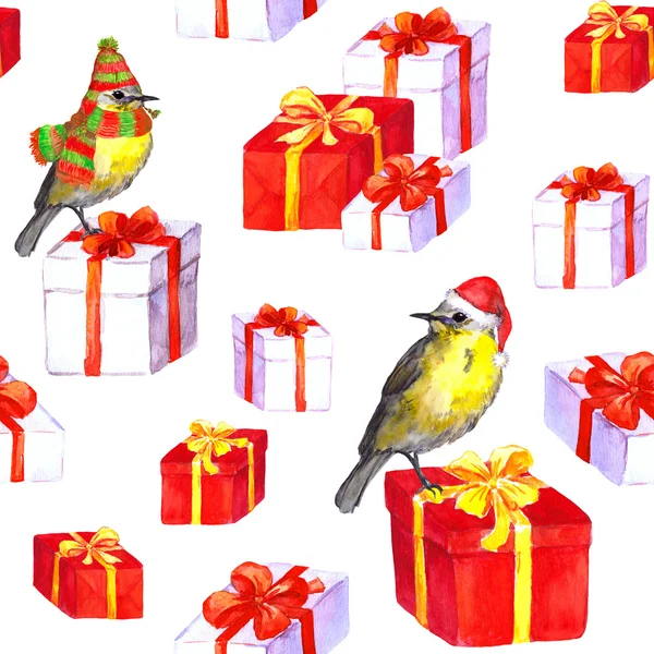 Симпатичные птицы в шляпах, коробка подарков. Повторяю. Акварель — стоковое фото