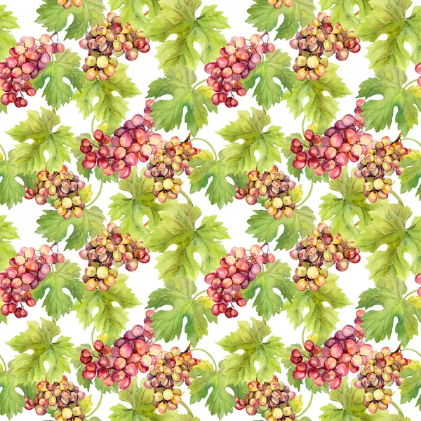El patrón sin costuras - la uva, la vid, las hojas sobre el fondo blanco. Acuarela —  Fotos de Stock