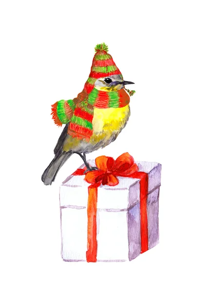 Pássaro de chapéu de inverno, cachecol. Caixa de presente de Natal. Aquarela — Fotografia de Stock