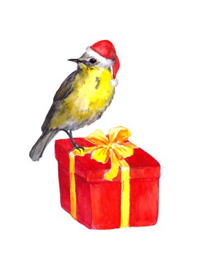 Şirin kuş - kırmızı Noel Baba şapkası. Noel hediyesi kutu. Suluboya