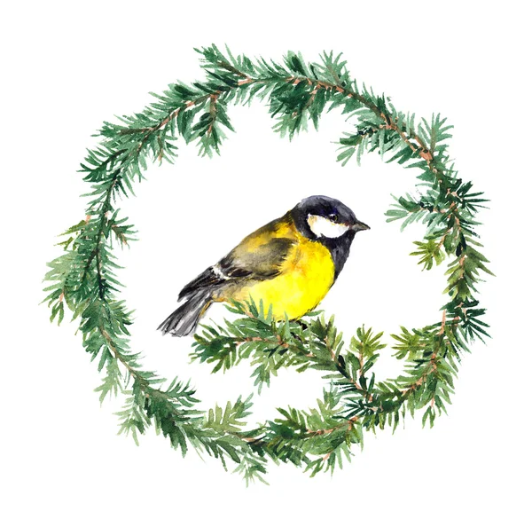 New year wreath - spruce and tit bird. Watercolor — Zdjęcie stockowe