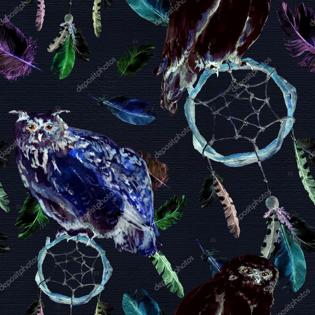 Plumes Oiseaux Hibou Dreamcatcher Fond Noir Motif