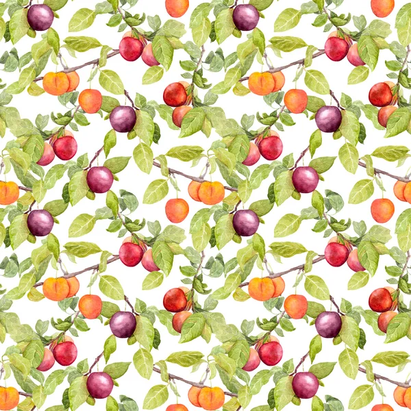 Fruits - garden with plum, cherry, apples. Seamless wallpaper. Watercolor — ストック写真