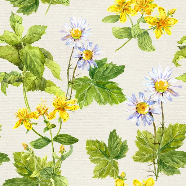 Herbs, flowers: chamomile, hypericum, mint. Herbal repeating pattern. Watercolor — Φωτογραφία Αρχείου