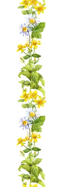 Fiori, foglie ed erbe. Confine senza soluzione di continuità. Cornice ad acquerello — Foto Stock