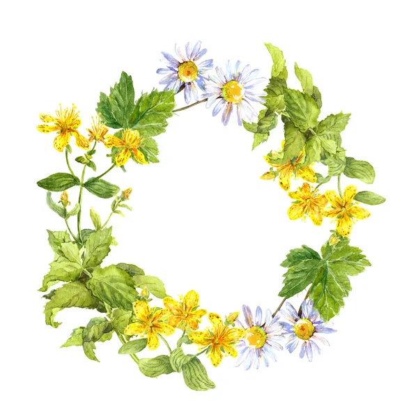 Virág, gyógynövény koszorú. Fű, virágok. Akvarell kör keret — Stock Fotó