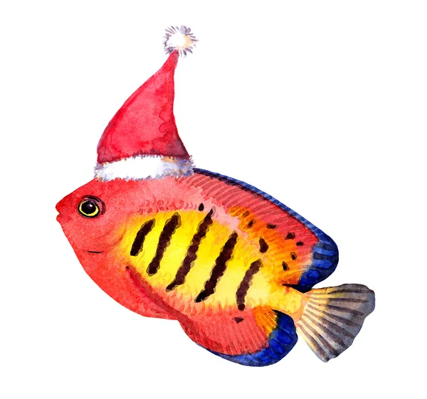 Exotic christmas fish in red santas hat. Watercolor — Stock Photo, Image
