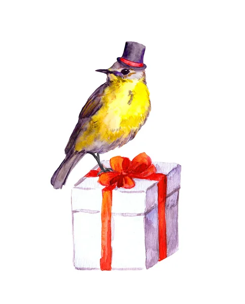 Cute bird in tall hat on present box. Watercolor — ストック写真