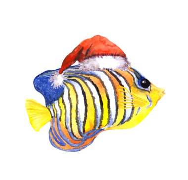 Noel egzotik tropik balık, kırmızı santas şapka. Su renk
