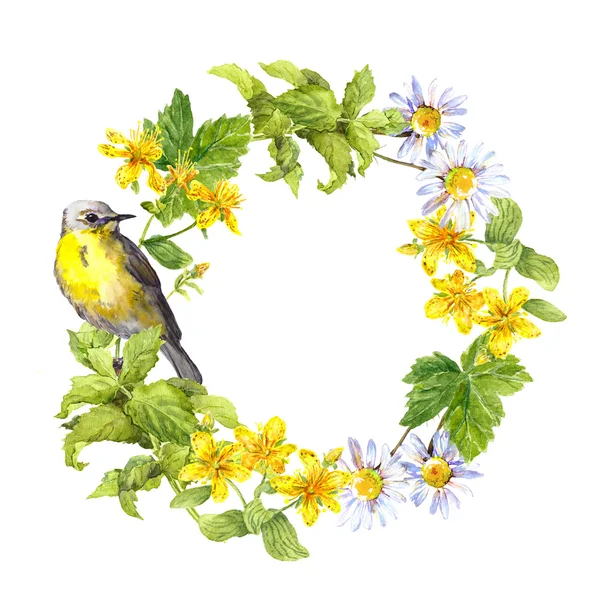 Krans - voorjaar vogel, weide bloemen, gras. Floral aquarel frame — Stockfoto