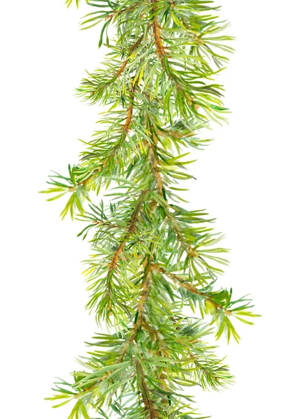 Kerstboom grens - fir takken. Aquarel frame strip — Stockfoto