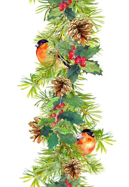 Spar grens - kerstboom takken, kegels, Maretak, rode vogel. Aquarel frame — Stockfoto