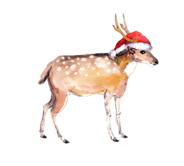 Cervo di Natale con cappello di Babbo Natale rosso. Acquerello animale di Natale — Foto Stock