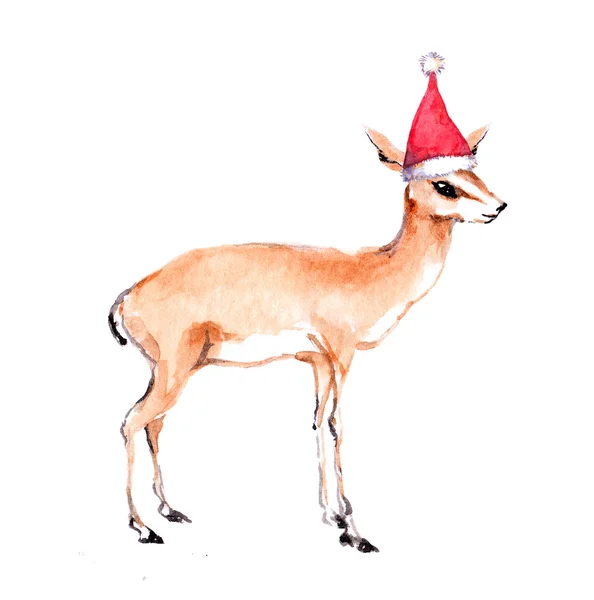 Gazzella antilope natalizia in cappello rosso di Babbo Natale. Acquerello animale — Foto Stock