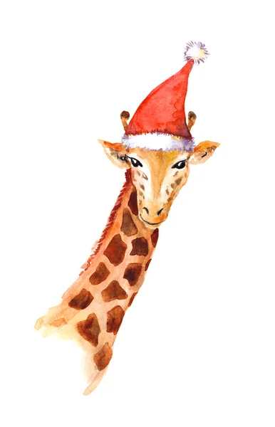 在红色的圣诞老人帽子圣诞长颈鹿。水彩动物 — 图库照片