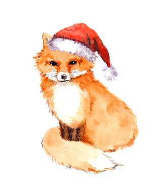 Kırmızı santa şapka Noel fox. Suluboya