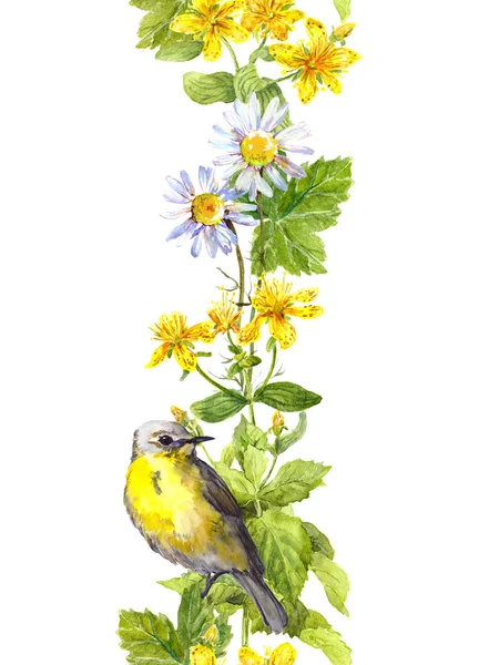 Lindo pájaro, hierbas silvestres, flores. Acuarela floral. Marco de frontera sin costuras — Foto de Stock