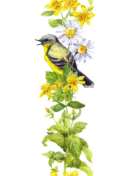 Pássaro em flores, ervas silvestres. Aquarela. Quadro de fronteira repetitivo — Fotografia de Stock